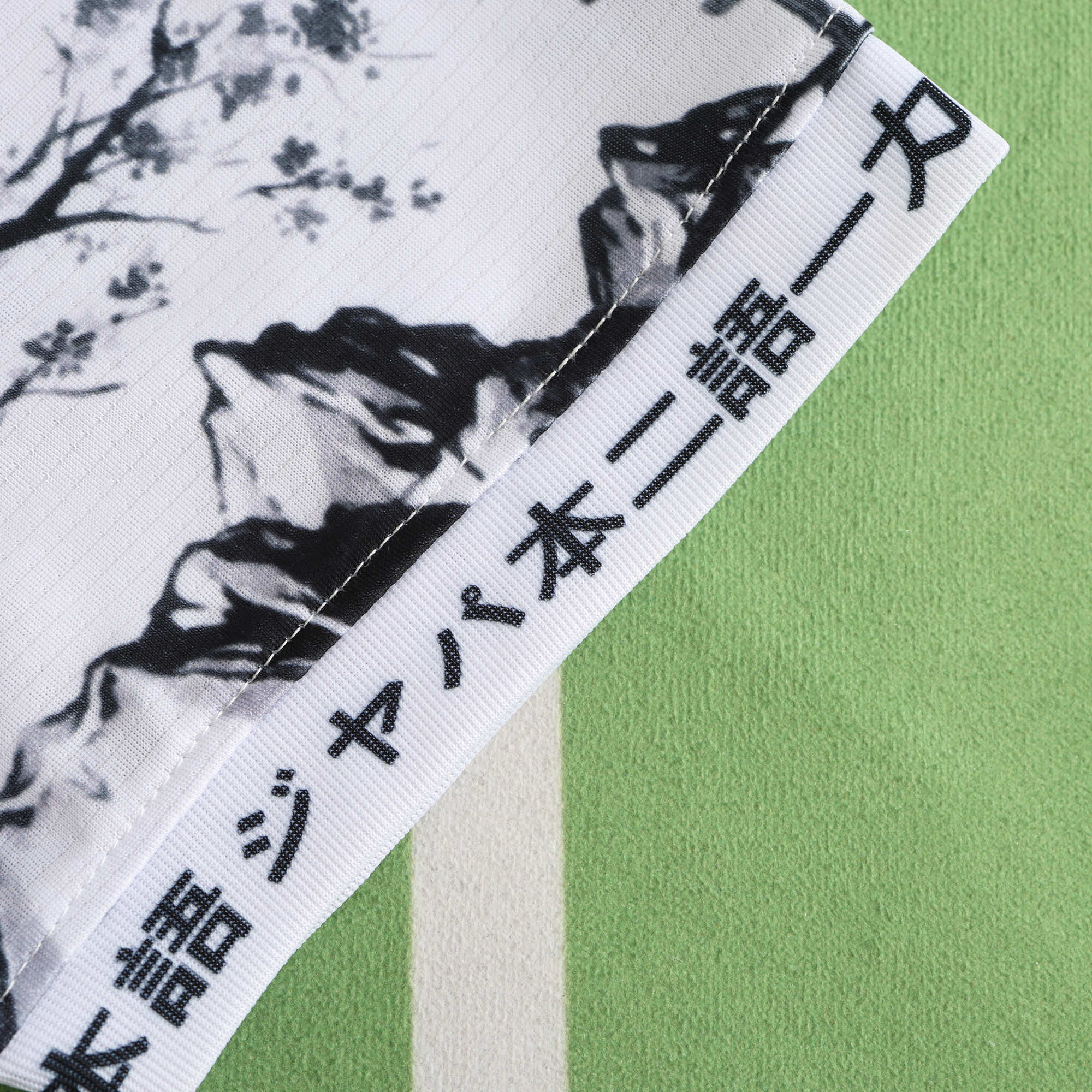 Japan 'Shinobi Spirit'